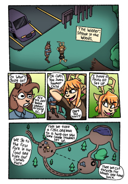 The Woods