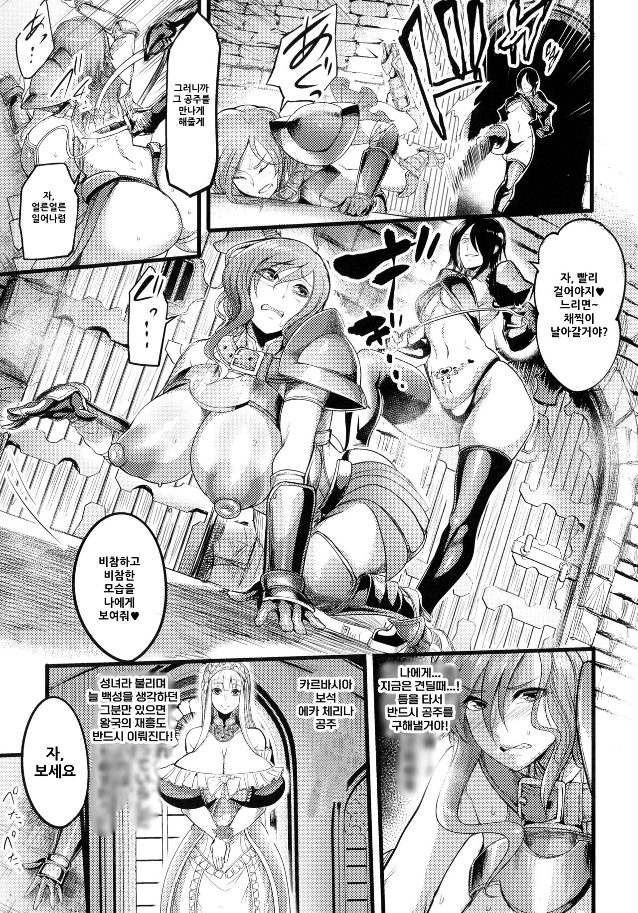 제국의 육변기~낙태된 공주와 여기사~ page 3 full
