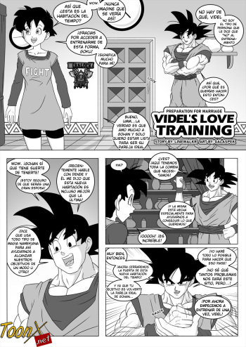 Videl's Love Training cover