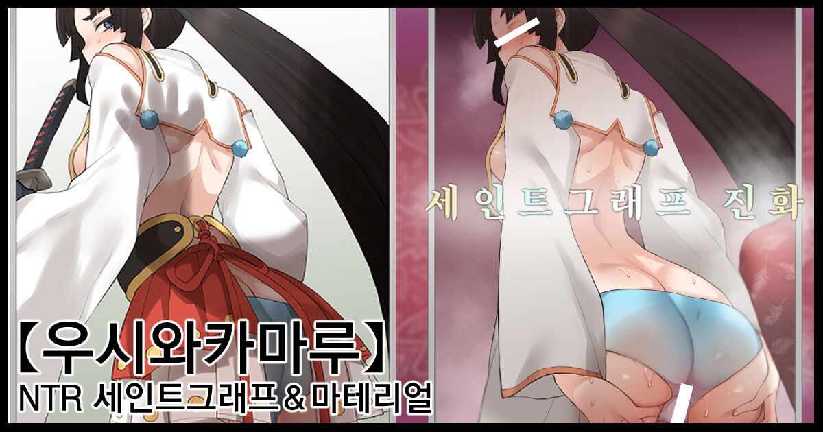 【Ushiwakamaru】NTR Saint Graph＆Material ｜ 【우시와카마루】NTR 세인트그래프&amp;마테리얼 page 1 full