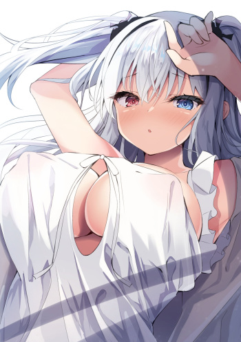 さすがに今月一回のみ更新というのは申し訳ないのでなけなしの寝巻エルビングちゃんズリ差分 cover