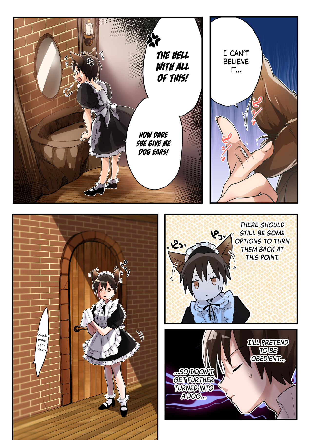 Yuusha no Ore wa TS Mesuinu Maid nanka ni wa Zettai ni Naranai! page 5 full