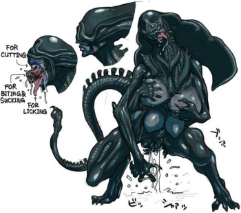 Aliens and Predators cover