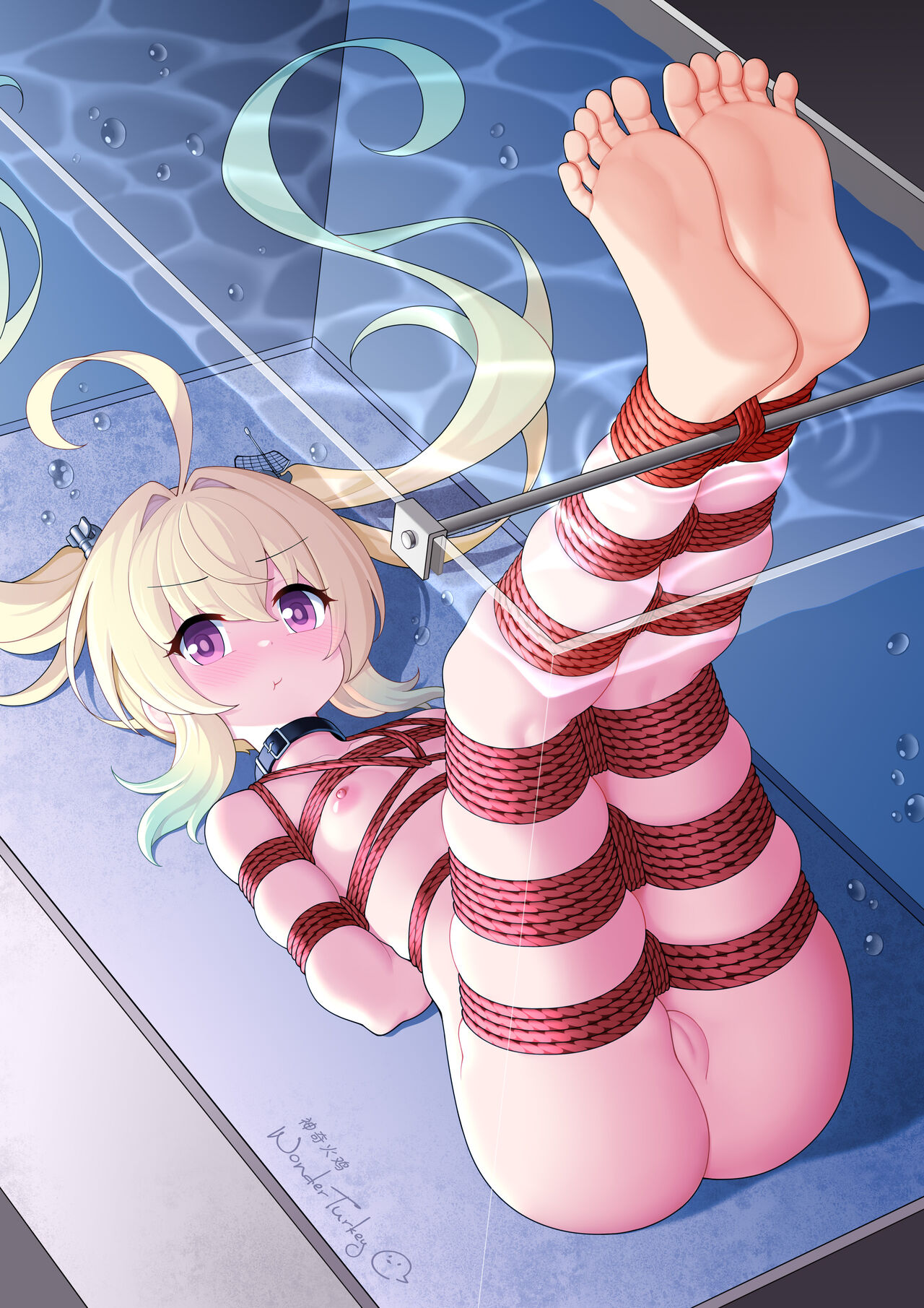 観賞魚 page 2 full