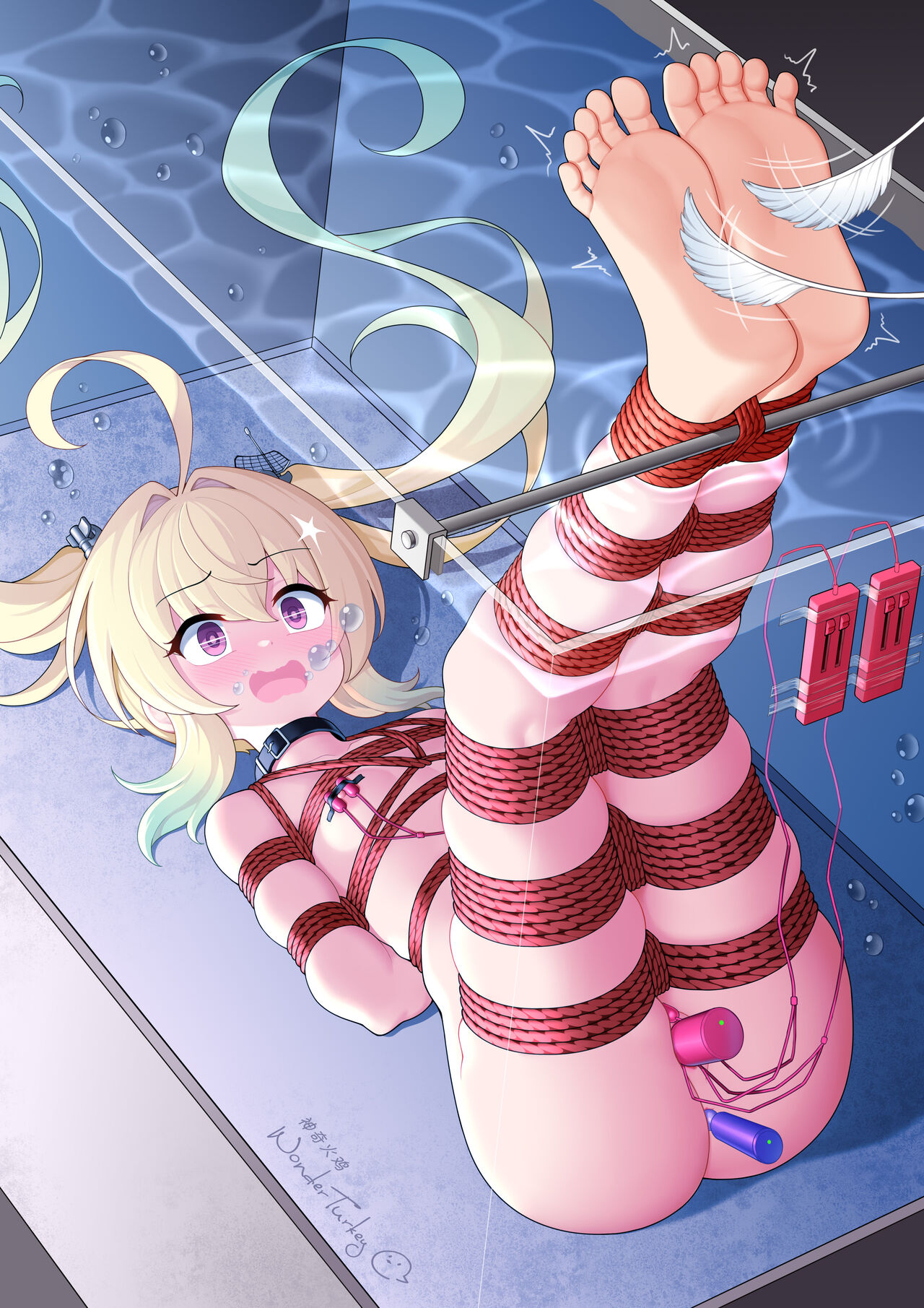 観賞魚 page 5 full