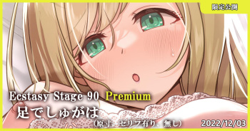 Ecstasy Stage 90 Premium 足でしゅがは cover