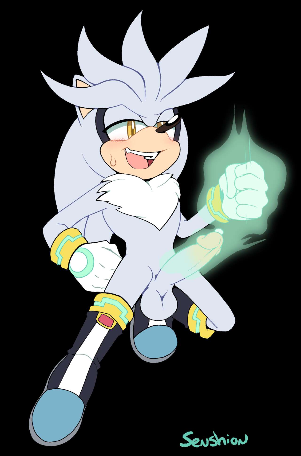 Silver the Hedgehog Gallery page 5 full