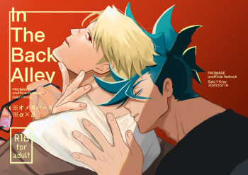 In The Back Alley cover