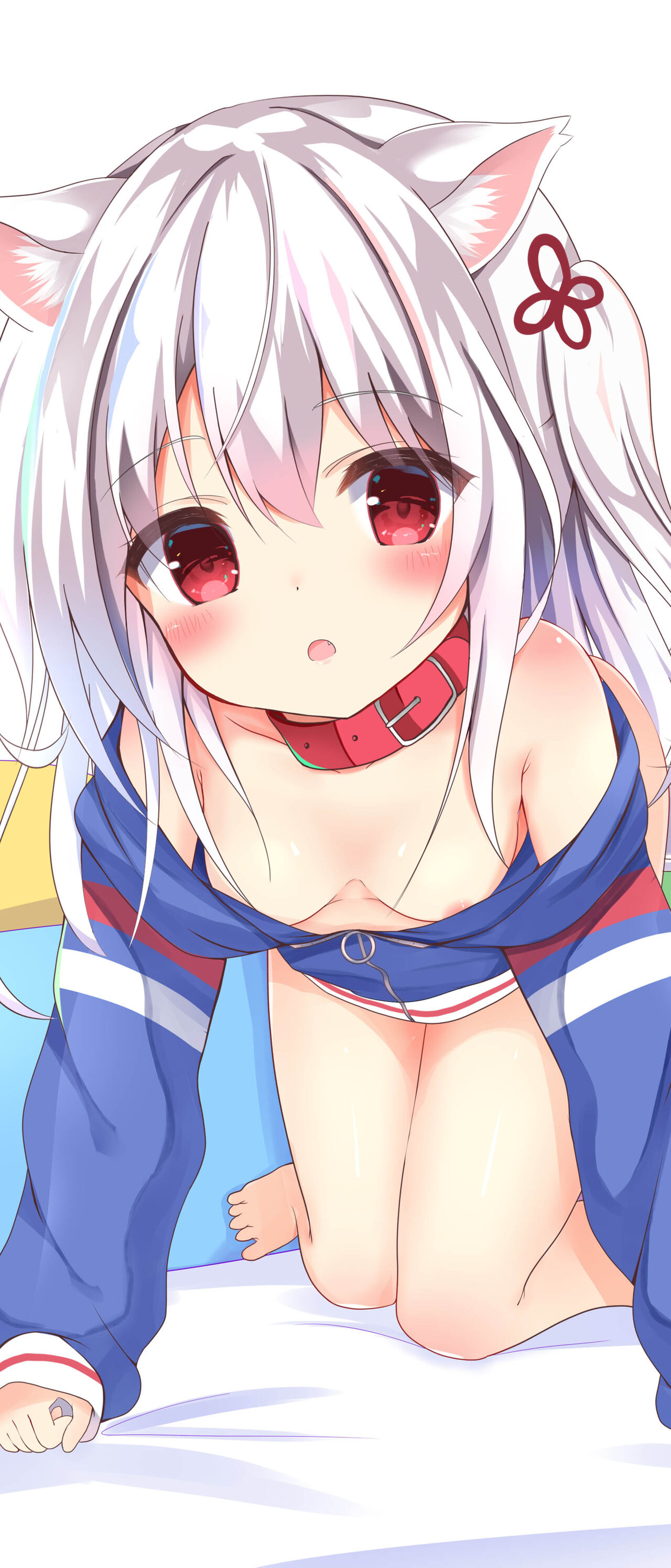 wallpaper 1644x3840 part51 page 5 full